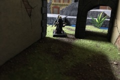 IMG_9017-13